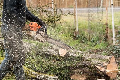 Midsection of man cutting tree