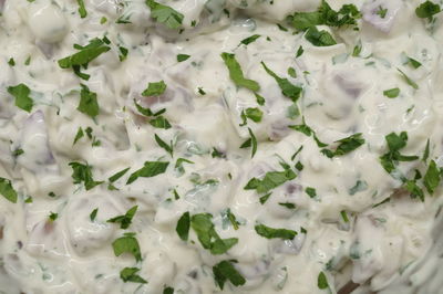 Close-up of salad