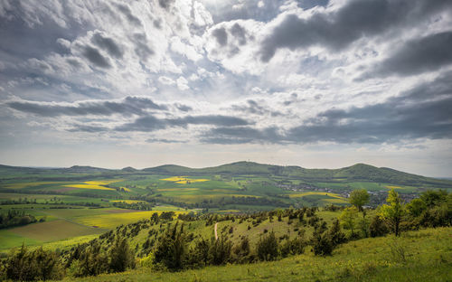 Scenic view of field against sky