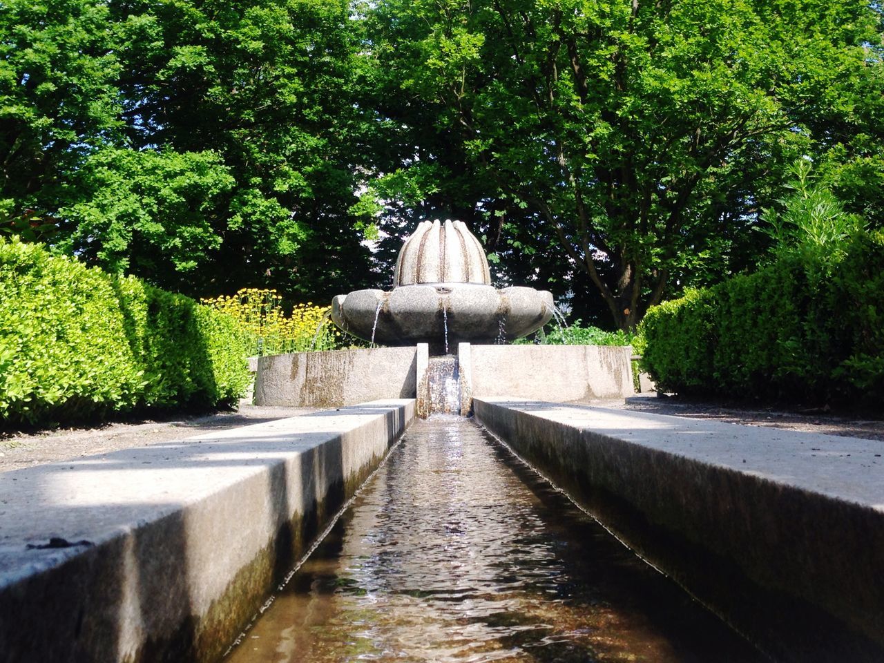 tree, the way forward, water, park - man made space, growth, footpath, nature, tranquility, green color, diminishing perspective, walkway, plant, day, tranquil scene, beauty in nature, outdoors, no people, pathway, formal garden, built structure