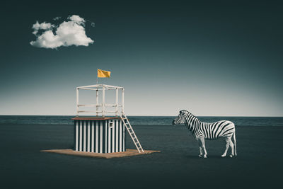 Digital composite image of zebra by lifeguard at beach