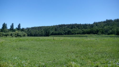 Scenic view of landscape against clear sky