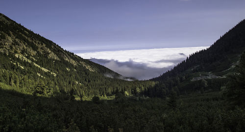 Scenic view of field and mountains against sky