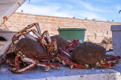 Closeup of brown raw fresh crabs displayed on table for sale