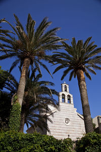 Low angle view of palm tree against sky