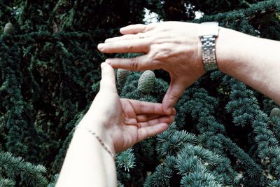 Midsection of woman touching plants