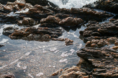 High angle view of rocks in water