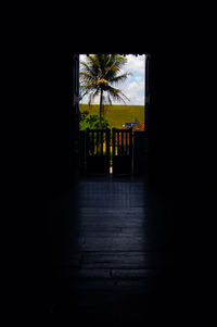 Silhouette palm trees by building against sky seen through window