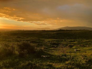 Scenic view of landscape against sky during sunset