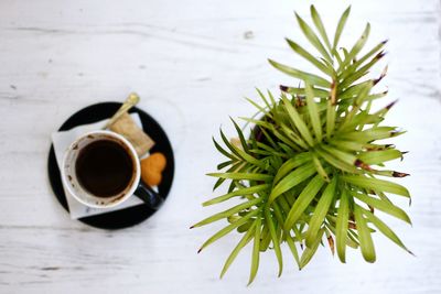 High angle view of black coffee by potted plant on table