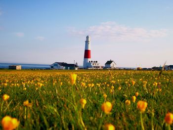 View of lighthouse on field against sky