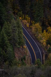 High angle view of road amidst trees in forest during autumn