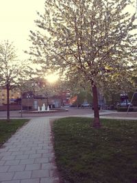 Footpath in park