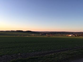 Scenic view of field against clear sky