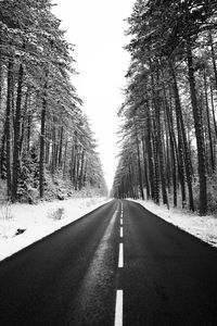 Empty road along trees in winter