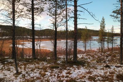 Scenic view of lake against sky during winter