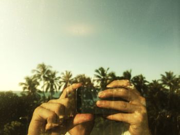 Cropped image of person holding tree trunk