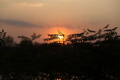 Scenic view of landscape against sky during sunset