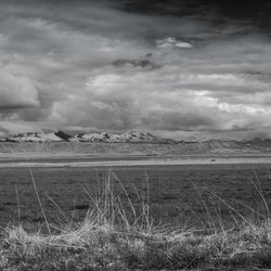 Scenic view of field against sky