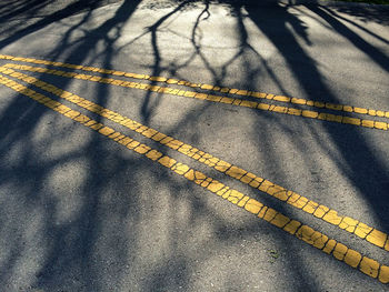 View of road along trees