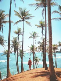 Rear view of man on palm trees at beach