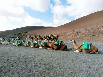 Group of people on the ground