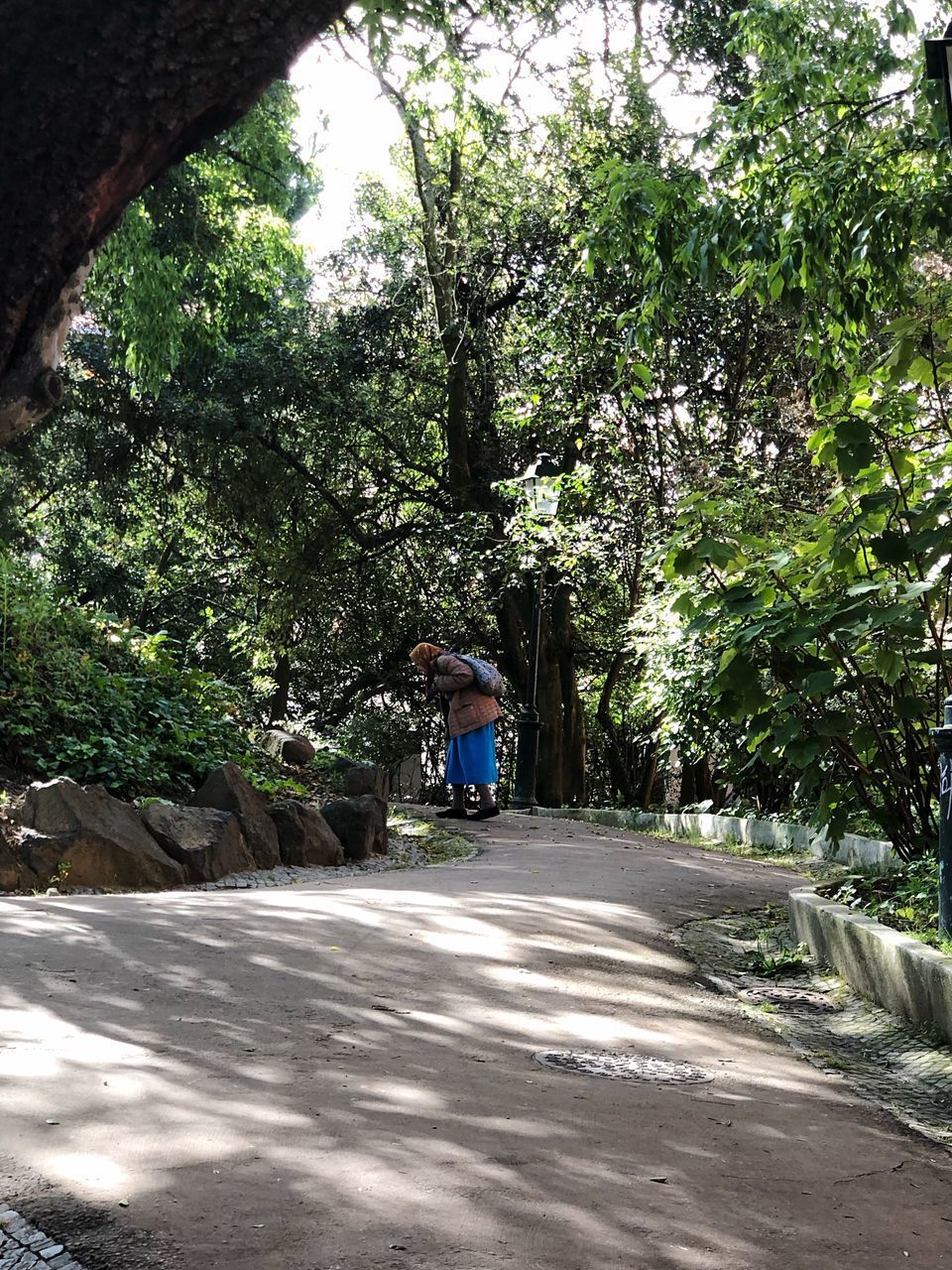 REAR VIEW OF WOMAN WALKING AMIDST PLANTS AGAINST TREES