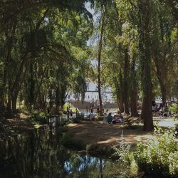 People in park by trees against sky