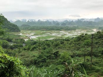 Scenic view of agricultural landscape against sky