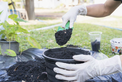 Midsection of person planting plant