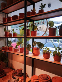 Potted plants at market stall