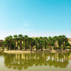 Reflection of palm trees in water against sky