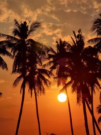 Silhouette palm trees against sky during sunset