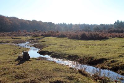 A quiet stream