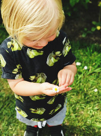 Learning about nature, boy holding a daisy in the park. 