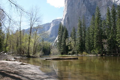 Scenic view of lake by trees against sky
