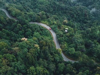 High angle view of road amidst trees in forest