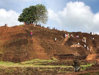 Low angle view of people on plants against sky