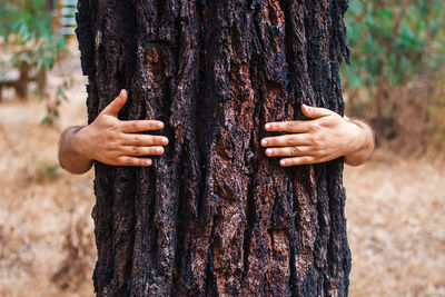 Close-up of hand holding tree trunk