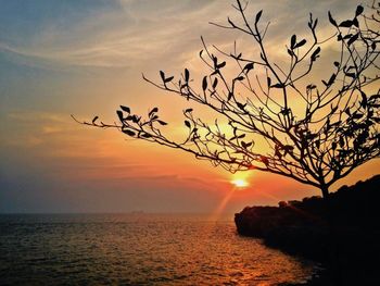 Silhouette tree against calm sea at sunset