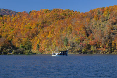 Scenic view of trees during autumn