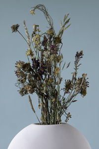 Close-up of flowering plant in vase against sky