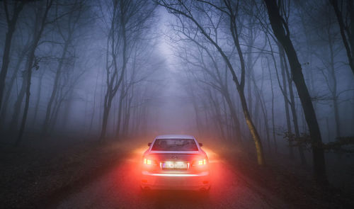 Car on road amidst trees in forest