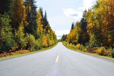 Empty road along trees