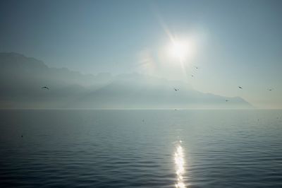 Birds flying over sea against sky