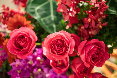 Close-up of rose bouquet