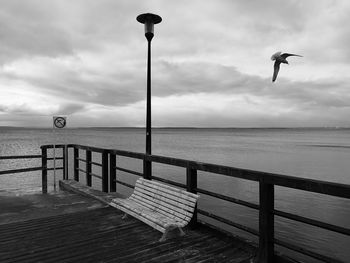 Fly away. flying seagull by the sea.