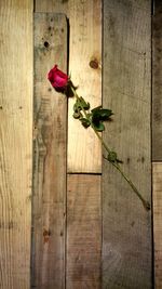 Close-up of wooden plank