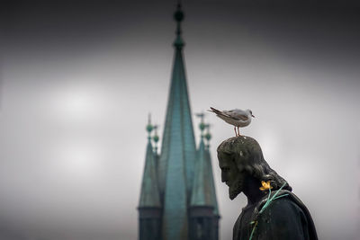 Low angle view of seagull on statue against sky