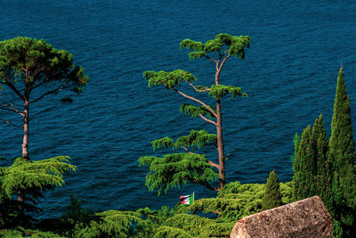 View of lake garda near malcesine in italy.